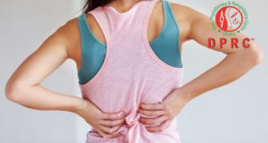 মেরুদন্ডের হাড়