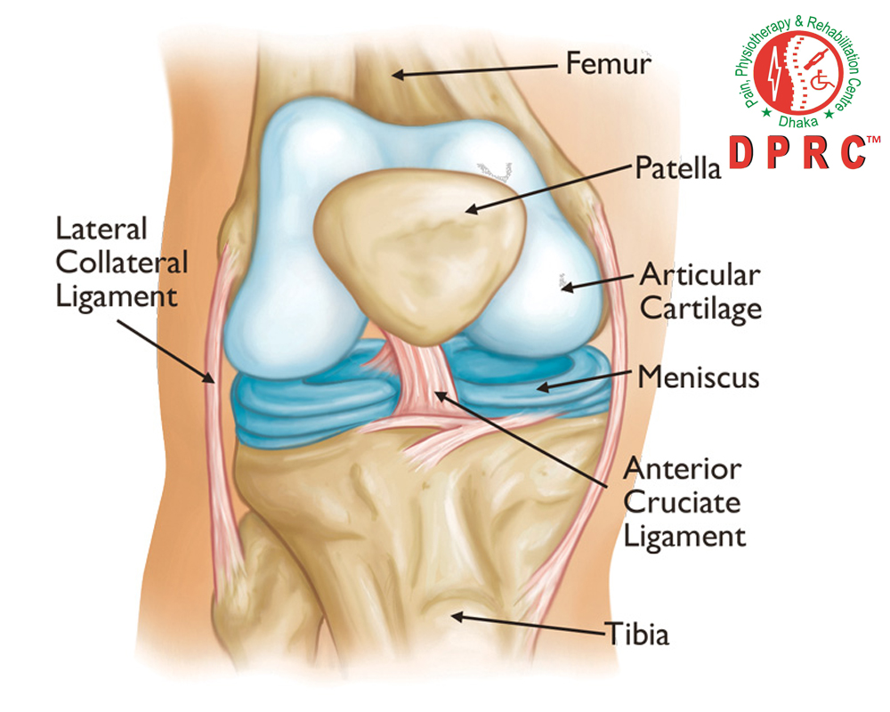 প্রশ্নঃ হাটু ও কোমর ব্যথার কারণগুলো কি? (ডা. মোঃ সফিউল্যাহ্ প্রধান)