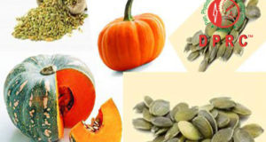 কুমড়ার বিচির এত গুণ!