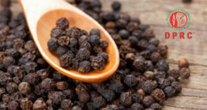 গোলমরিচ 