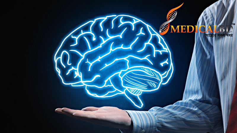 মানব ব্রেইন! মস্তিষ্কের ডান এবং বাম অংশ