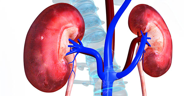 Acute Kidney Failure (Kidney Failure)