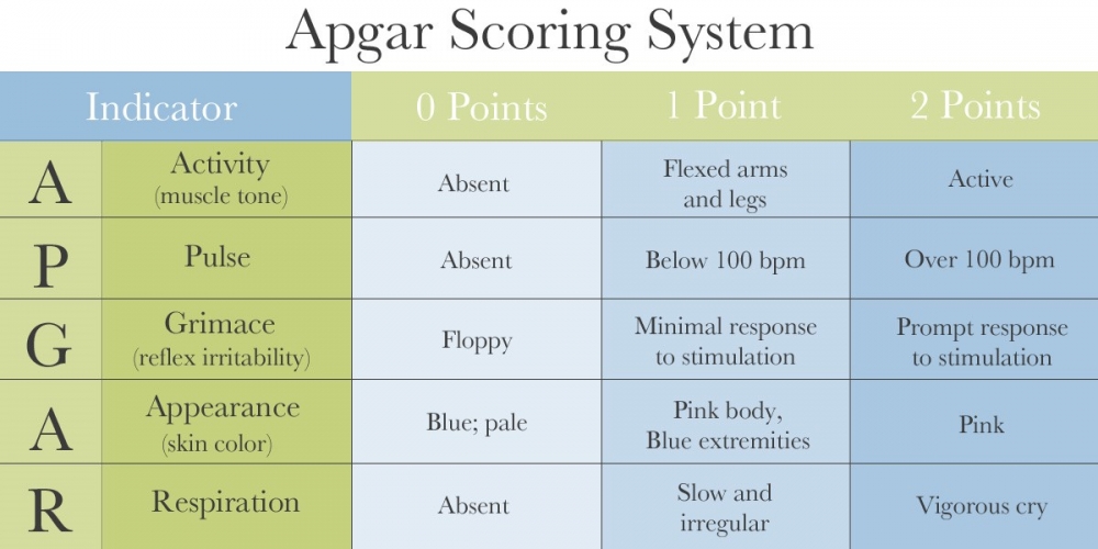 Apgar Score for cerebral palsy